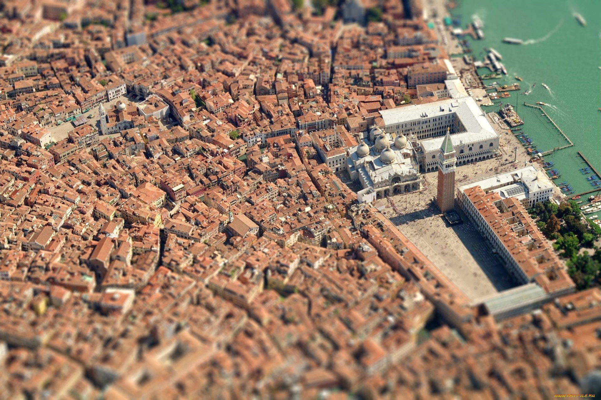 ,  , , , , , , , , , , , , tilt, shift